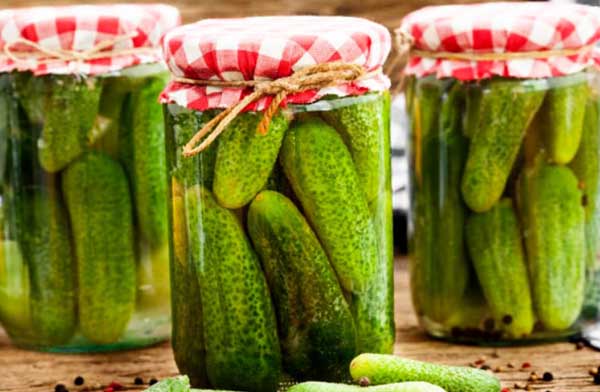 Малосольные огурцы с чесноком и укропом - рецепт