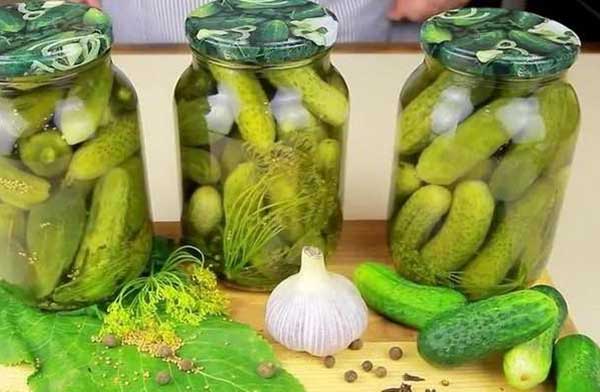 Соленые огурцы на зиму - самый простой и надежный способ засолки