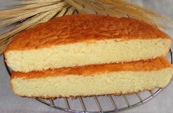 Кексовый бисквит для торта на молоке (два рецепта)