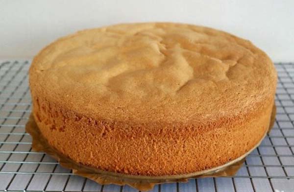 Бисквит рецепт универсал